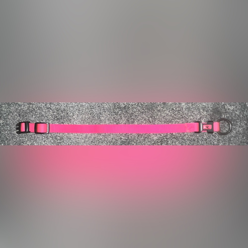 🎉HOST PICK 🎉 Hot Pink Dog Collar - Picture 3 of 7